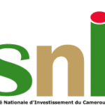 secretariat national d'investissement du cameroun